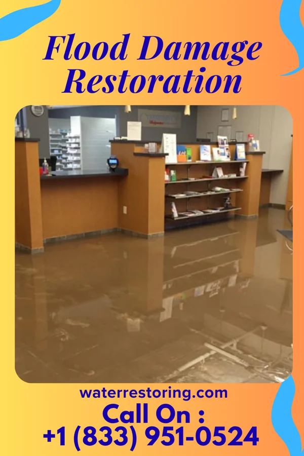 Flood Damage Restoration in Buda, IL