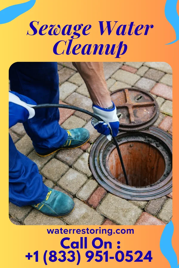 Sewage Water Cleanup in Buda, IL