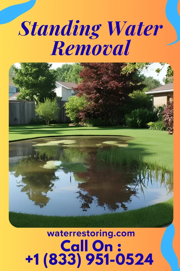 Standing Water Removal in Buda, IL